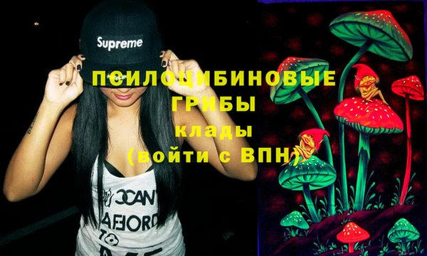 прущая мука Вязники