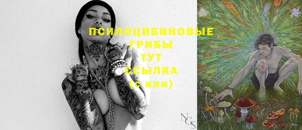 прущие грибы Верхний Тагил
